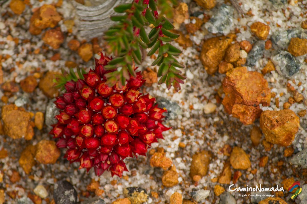 Fleur-Lesueur National Park