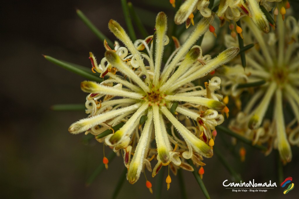 Fleur-Lesueur National Park