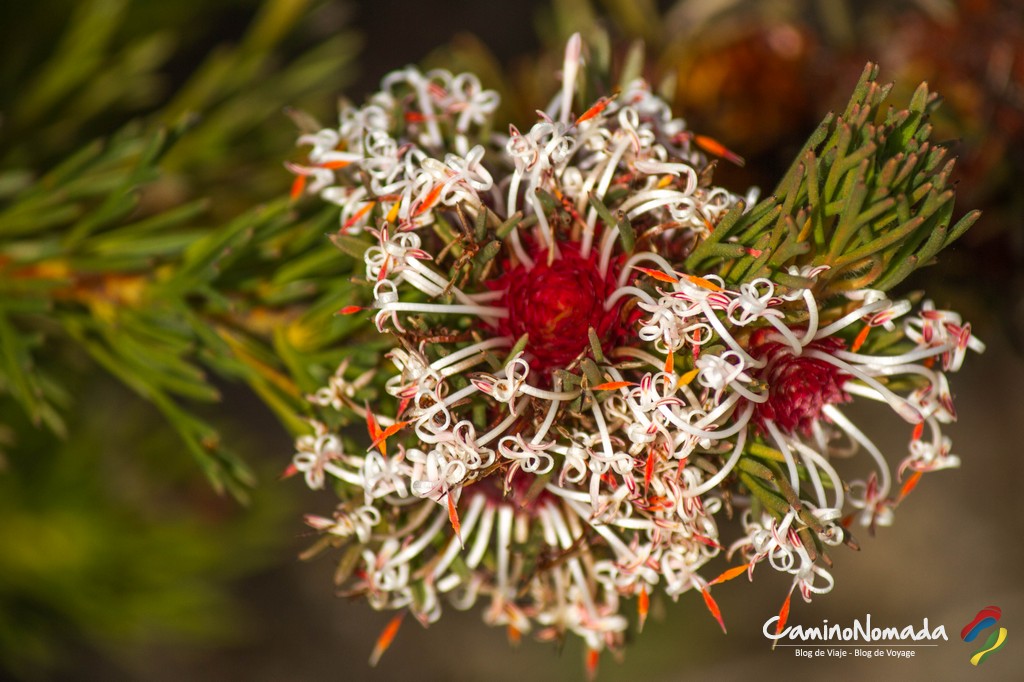 Fleur-Lesueur National Park
